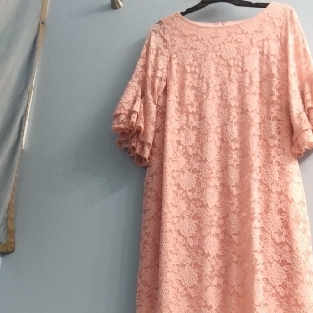 Perceptions Pink Flutter Sleeve Ruffled Blouse - Picture 4 of 5